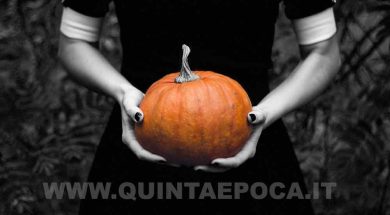 zucca