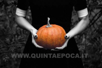 zucca
