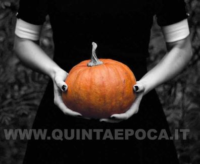 zucca