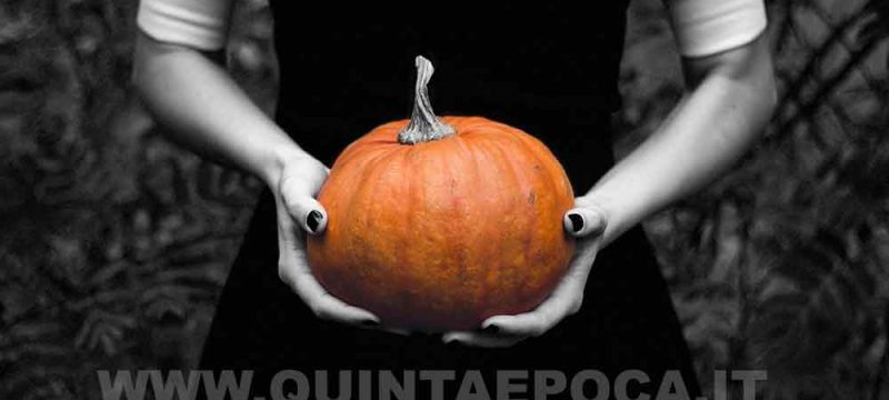 zucca