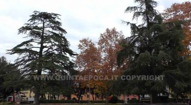 PRATO-GIARDINO
