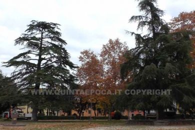 PRATO-GIARDINO