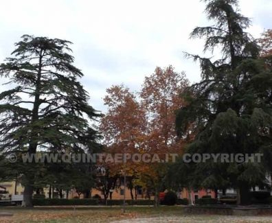 PRATO-GIARDINO