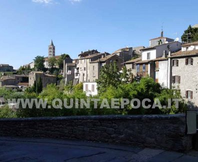 viterbo