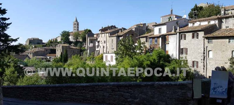 viterbo