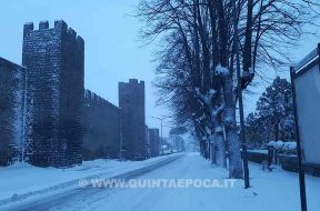 Neve Viterbo