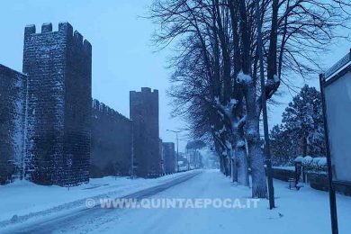 Neve Viterbo
