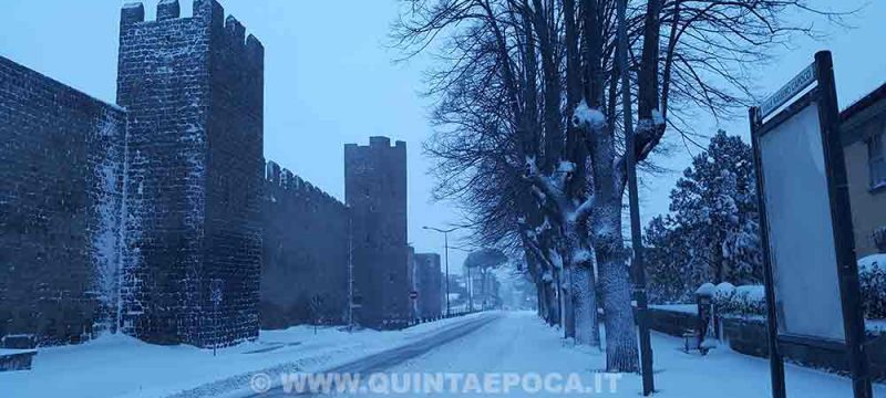 Neve Viterbo