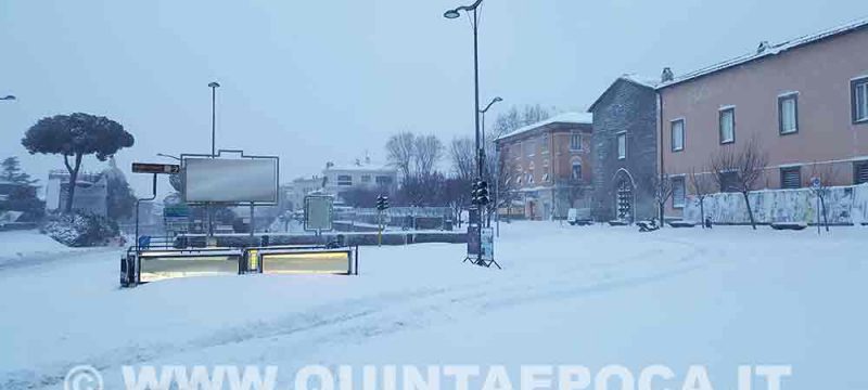 NEVE23S