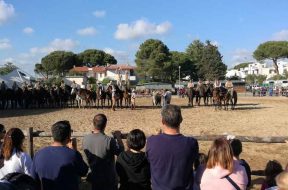 maremma-damare