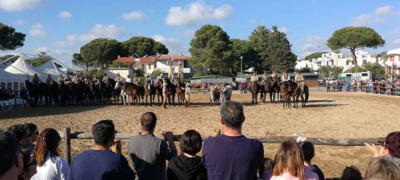 maremma-damare