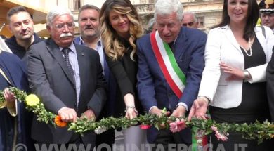 panunzi-troncarelli-ciambella-michelini