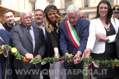 panunzi-troncarelli-ciambella-michelini