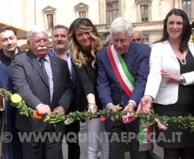panunzi-troncarelli-ciambella-michelini