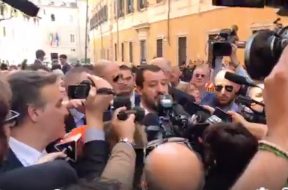 salvini