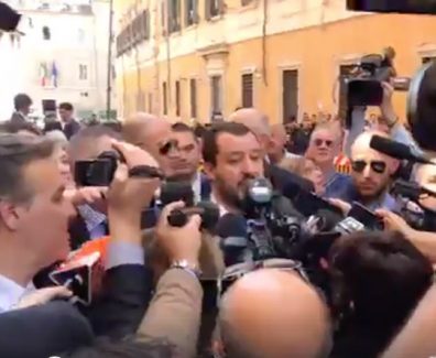 salvini