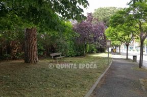 VIA-VICENZA