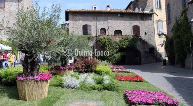 san-pellegrino-in-fiore-2018