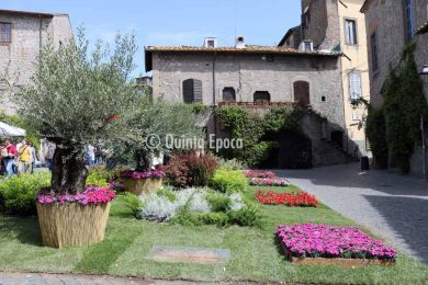 san-pellegrino-in-fiore-2018