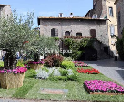 san-pellegrino-in-fiore-2018