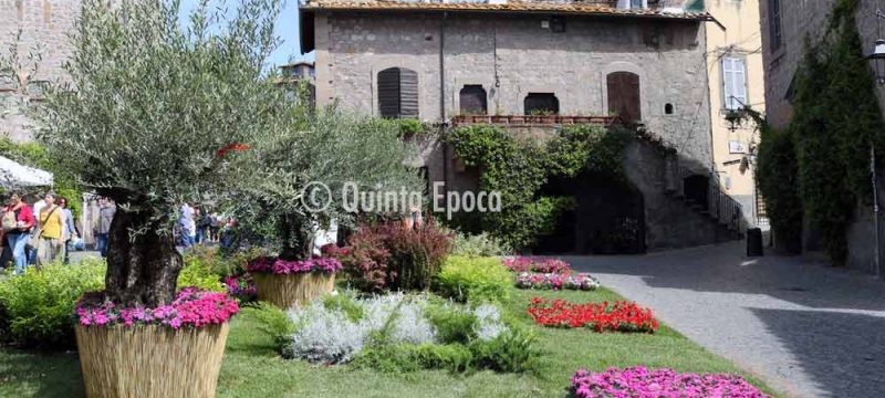 san-pellegrino-in-fiore-2018
