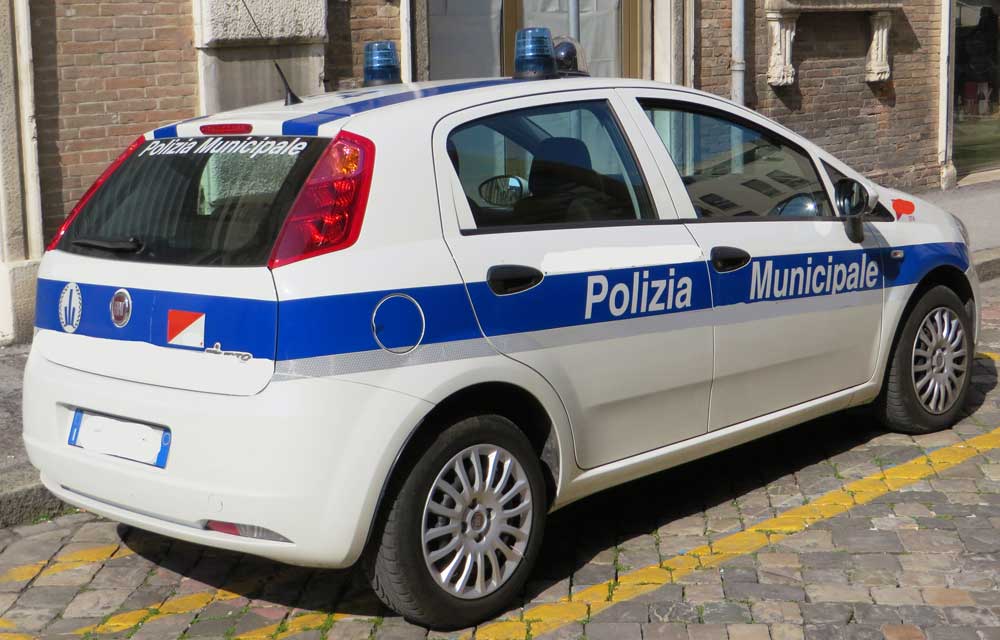 Sequestrati oltre 30 cani in Strada Signorino