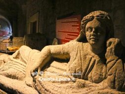 museo-1