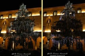 albero
