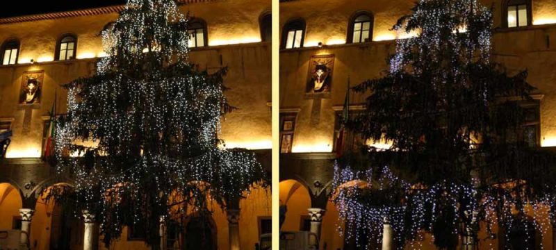 albero