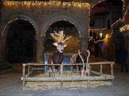 natale7