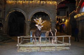 natale7