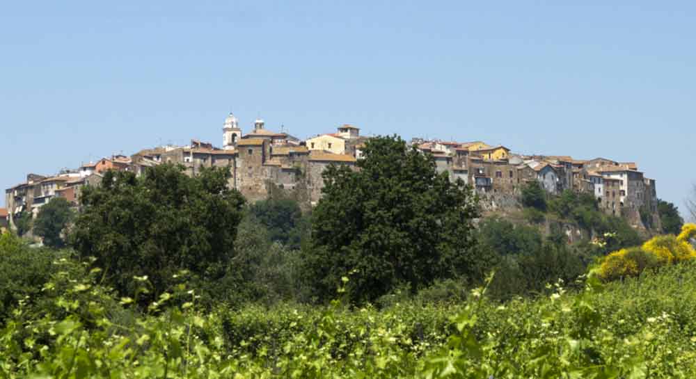 Alta velocità, Fratelli d’Italia presenta una mozione al sindaco di Viterbo