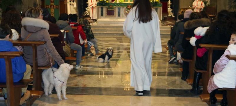 benedizione-animali-cop
