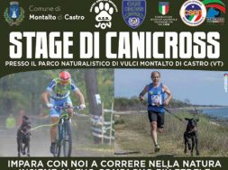 canicross
