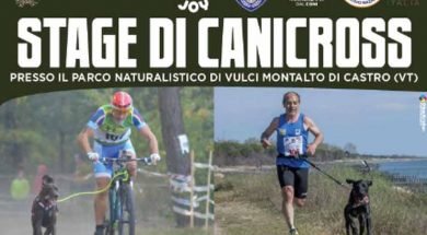 canicross
