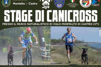 canicross