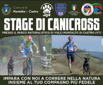 canicross