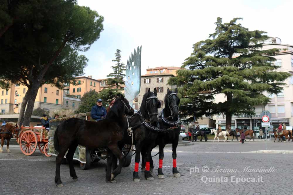 Piazza del Plebiscito: benedizione degli animali tra tradizione e sacralità.