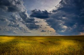 agricoltura