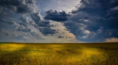 agricoltura