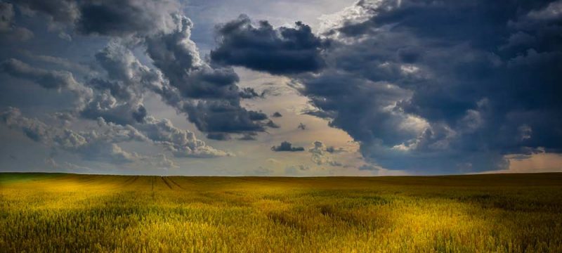 agricoltura
