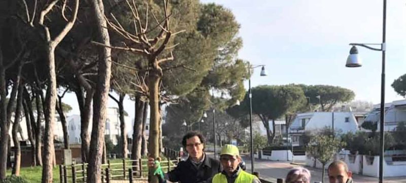 marco-fedele-pineta