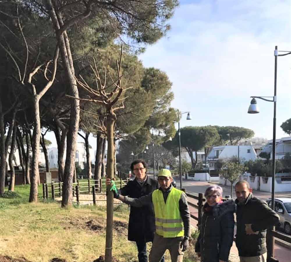 Montalto di Castro: nuova vita per la pinetina con nuovi alberi e aree attrezzate.
