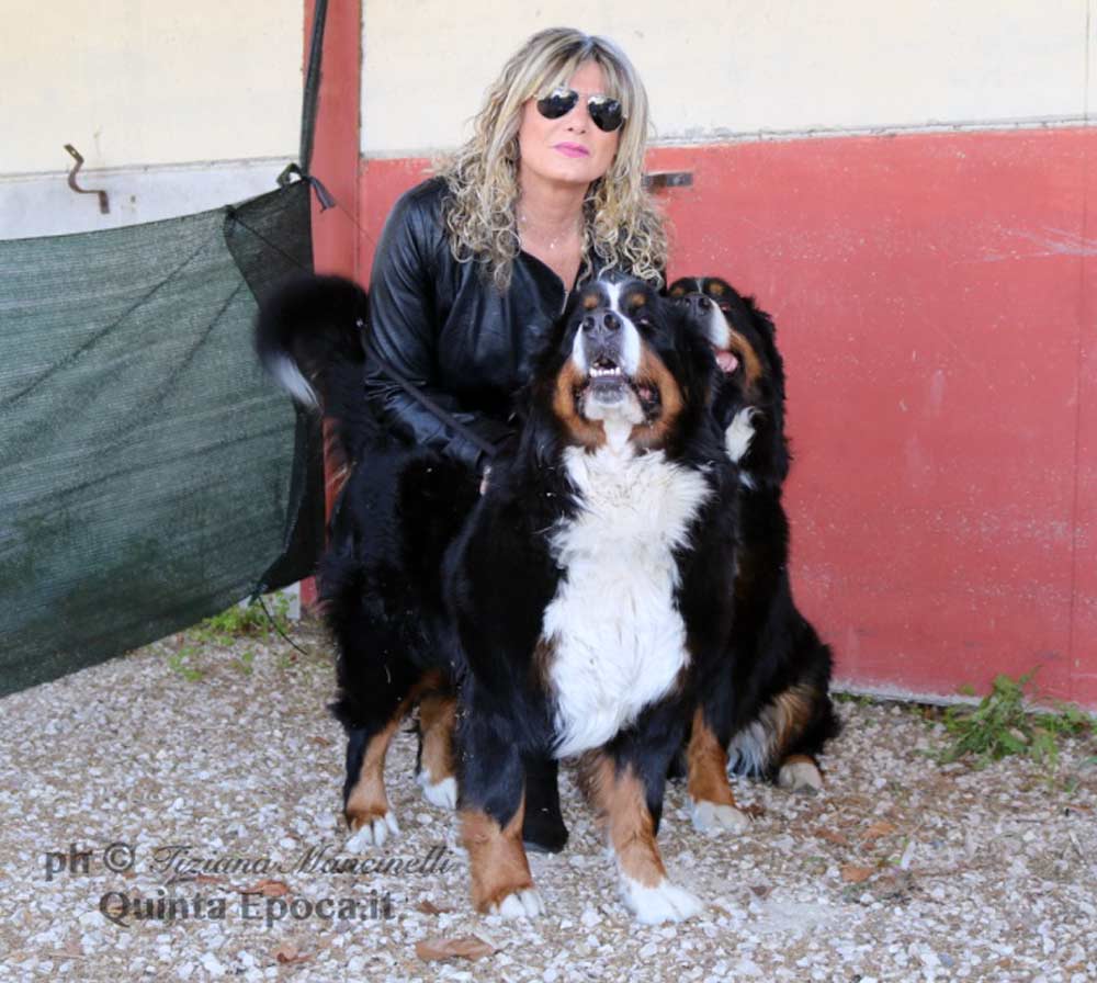 Perlorca: «Sabato 2 ottobre quinta giornata di microchip gratuito».