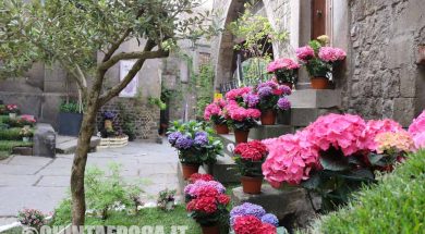 san-pellegrino-in-fiore