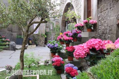 san-pellegrino-in-fiore
