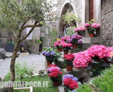 san-pellegrino-in-fiore