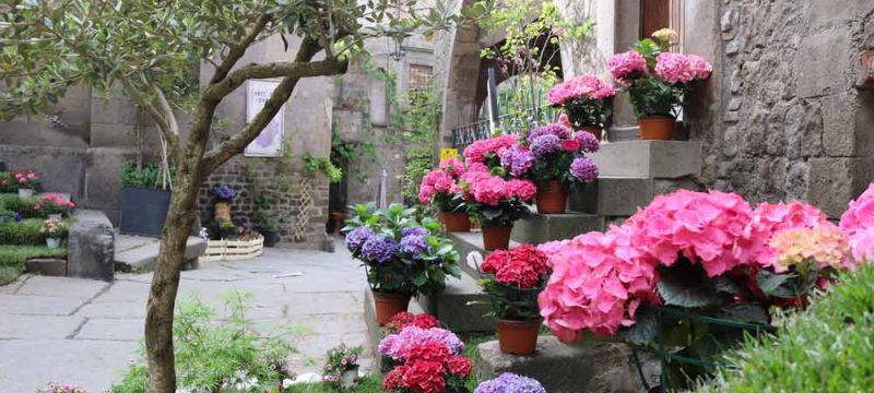 san-pellegrino-in-fiore
