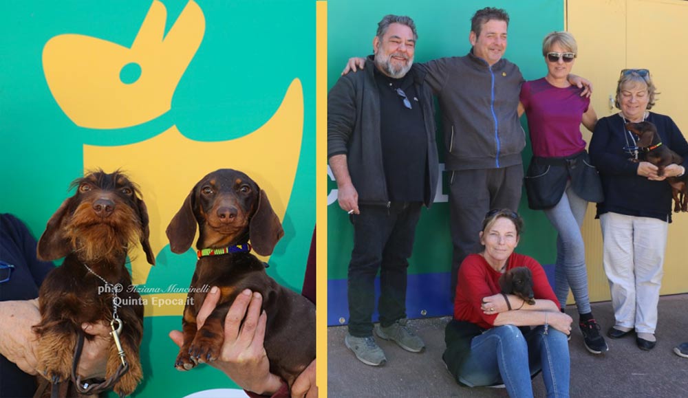 Tuscia Cani: tutto pronto per la giornata del microchip e delle adozioni.