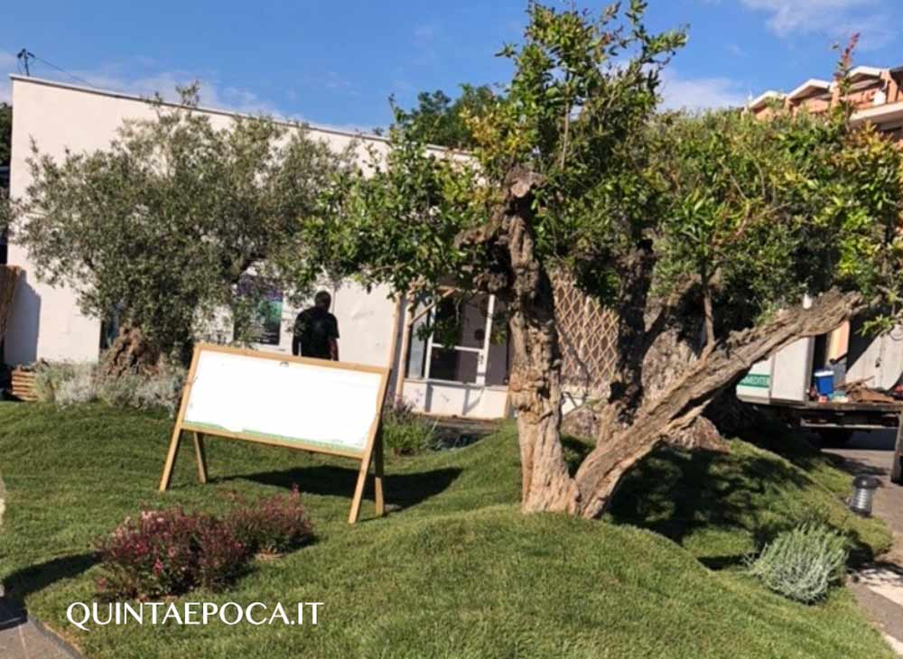 Montalto di Castro: XVI Sagra dell’Asparago Verde. ll programma.